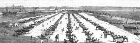 Camel Corps 33
