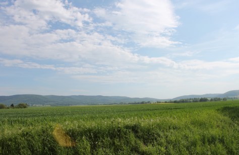 Lutter am Barenberge 47