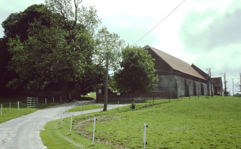 My beautiful picture